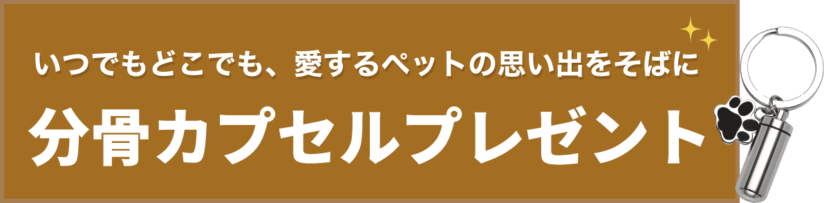 分骨カプセルプレゼント